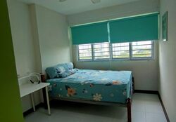 Blk 312B Punggol Parcvista (Punggol), HDB 5 Rooms #613598561